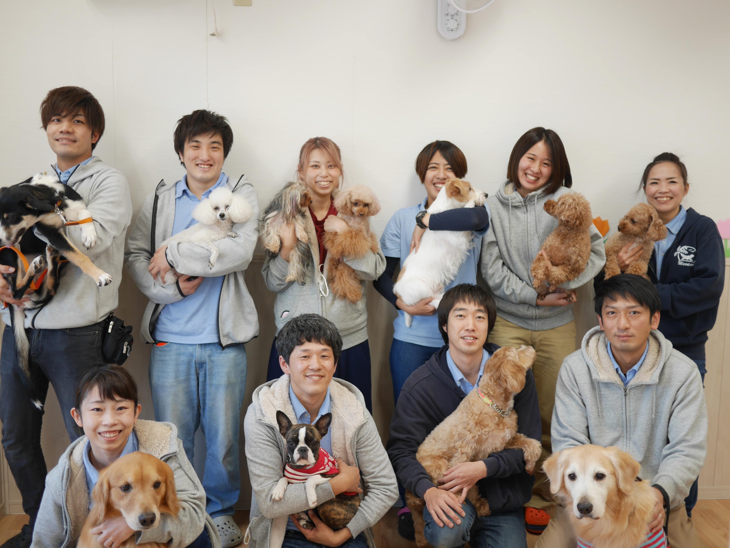 犬のしつけとトリミング専門moveon 西船橋にあるドッグマナースクールmove Onとドッグサロンlokahi アクセス抜群 駐車場完備