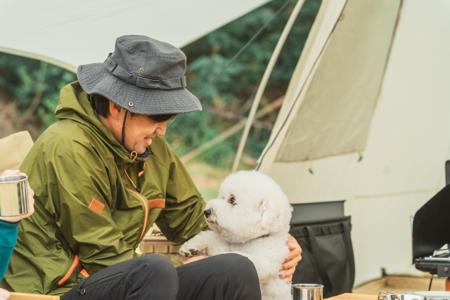 犬とキャンプ