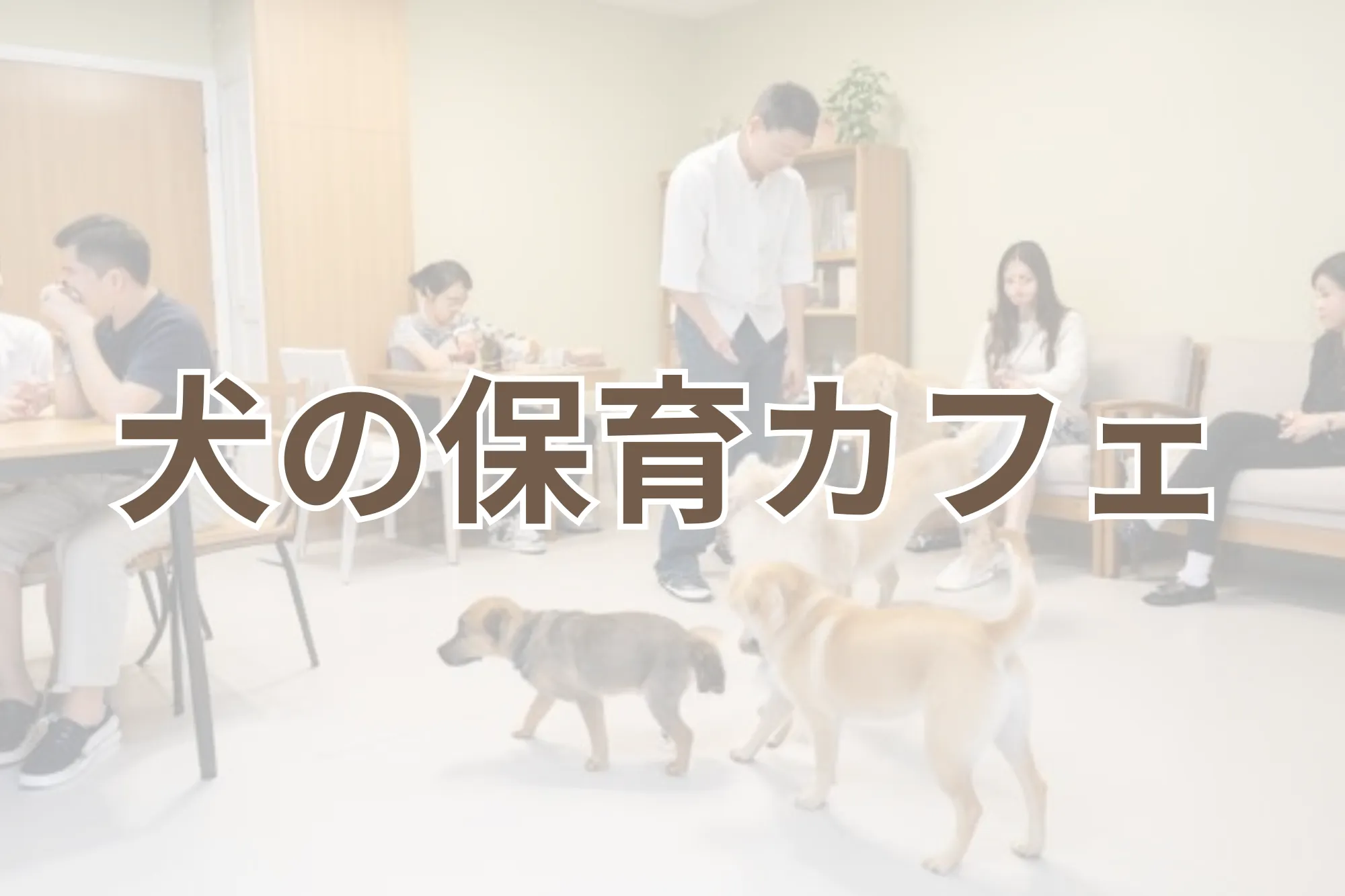 犬の保育カフェ