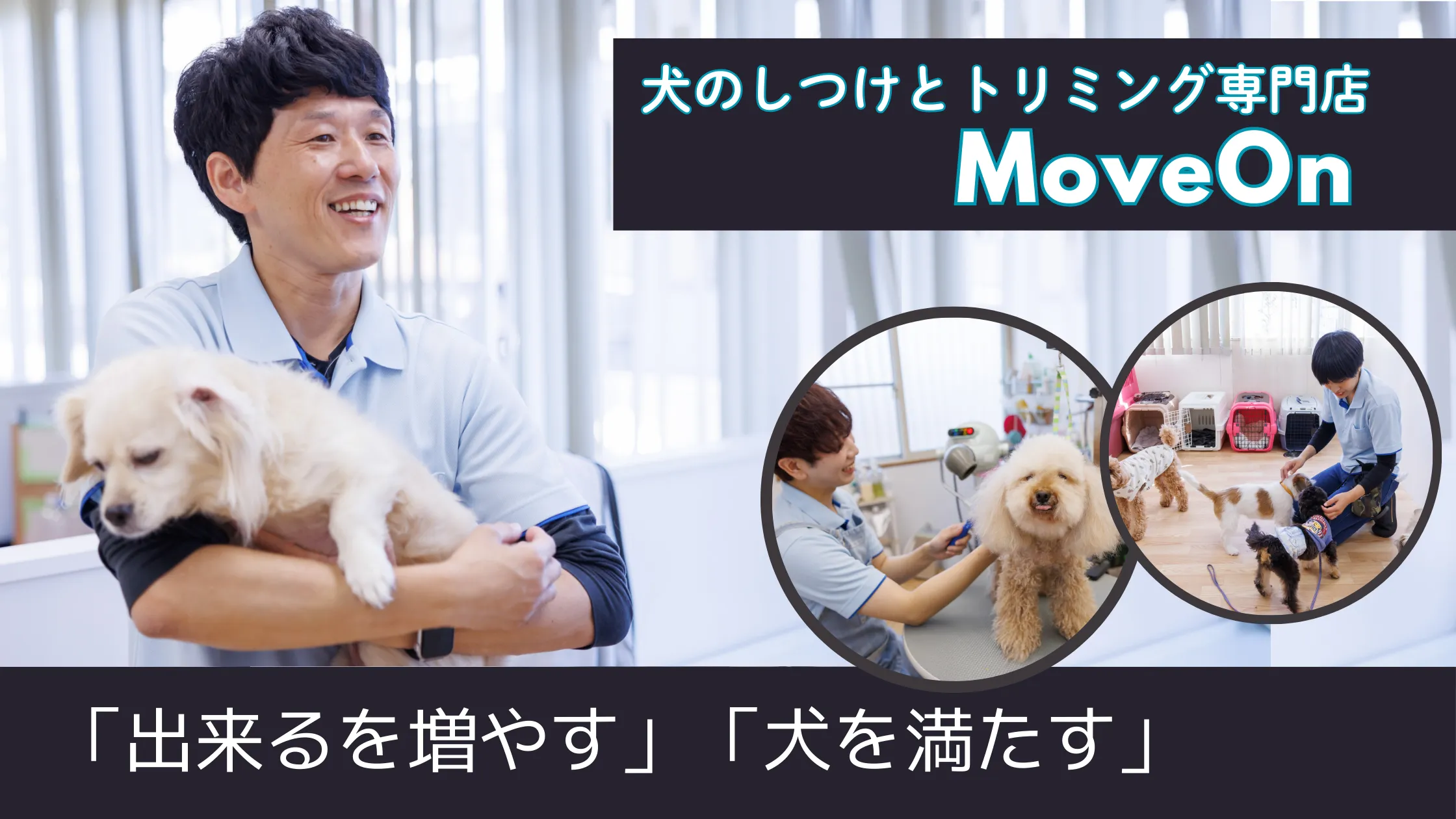 犬のしつけとトリミング専門MoveOn